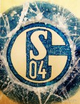 Der Weg nach oben: Der FC Schalke 04 in der Saison 2012/13