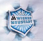 Bundesliga-Vorschau: Schicksalssaison für Wiener Neustadt?