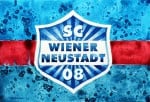 SC Wiener Neustadt Manager Günter Kreissl im Interview: „Mir wird nicht fad…“