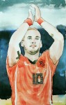 Wesley Sneijder - Niederlande