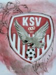 Saisonrückblick: Der Abstieg des Kapfenberger SV und das Scheitern des „Systems Agenturspieler“