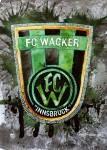 Stadion, Trainingsbedingungen, „Akademie“ – die großen, langfristigen Probleme des FC Wacker Innsbruck